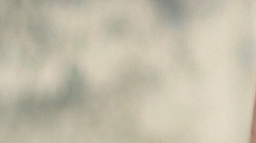 Mara Salvatrucha MS-13