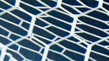 Paolo Guerrero entra a la lista de los jugadores que le han anotado a todos sus rivales de CONMEBOL.