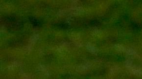 Gabriel Jesús sale expulsado y hace una rabieta.