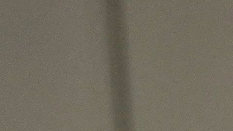 Trump con el fiscal Barr.