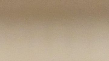 El voto latino será clave en las elecciones de 2020