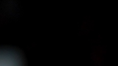 Serena Williams avanza a semifinales, pero tendrá que pagar multa.