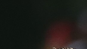 Los jugadores convivieron con los aficionados en un entrenamiento a puertas abiertas.