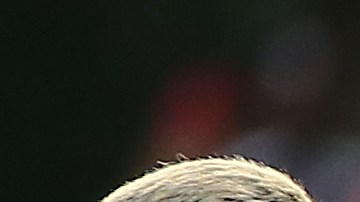 Los jugadores convivieron con los aficionados en un entrenamiento a puertas abiertas.