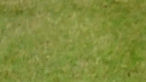 Nicolas Mahut recibió un duro impacto durante la final de Dobles.