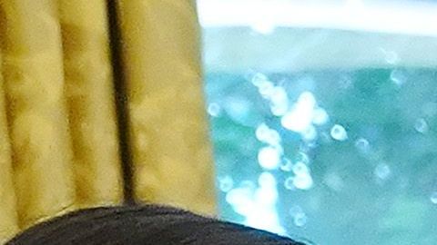 Nadia Murad estuvo en la Casa Blanca.