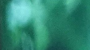 Trump es uno de los líderes que más noticias consumen diariamente.