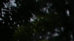 Terremoto California Sismo