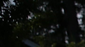 Terremoto California Sismo