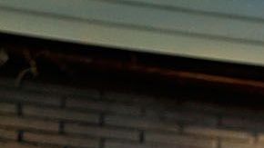 NYPD está viviendo su propia "crisis de salud mental"