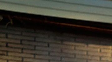 NYPD está viviendo su propia "crisis de salud mental"