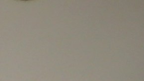 La detención se alargó por más de 12 horas