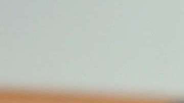 Entre 2017 y 2018 se han reportado al menos 28 inmigrantes han abortado.