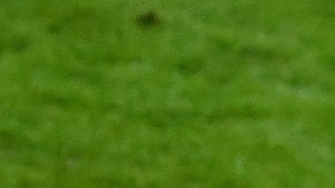 Una de las carreras más prometedoras de un director técnico comenzó el día de hoy.