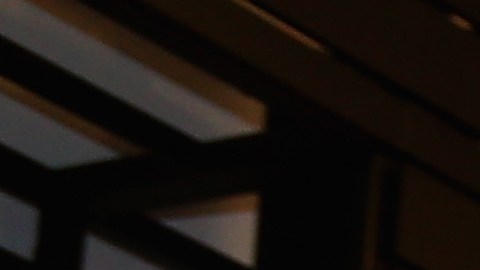 David Trezeguet fue detenido por la policía, ex jugador del Cruz Azul lo acompañaba.