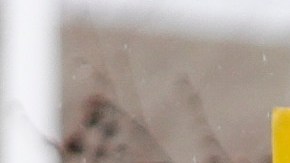 Las protestas anunciadas para hoy frente al centro se trasladarán a otro lugar.