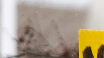 Las protestas anunciadas para hoy frente al centro se trasladarán a otro lugar.