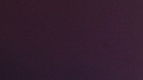 Santa Monica Fuegos artificiales