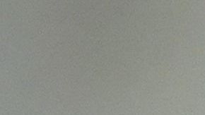 Ivanka Trump recibió críticas por la mascota de color blanco.