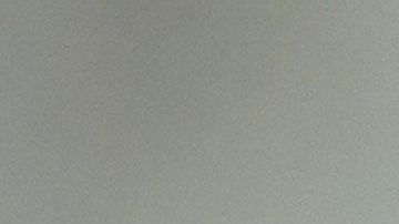 Ivanka Trump recibió críticas por la mascota de color blanco.