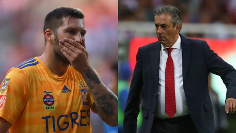 Gignac y Boy se dicen de todo