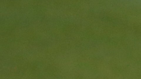 Josep Guardiola, Director Técnico del Manchester City, fue uno de los mejores jugadores del mundo en su momento.
