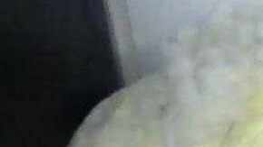 La droga estaba el interior de los osos de peluche.
