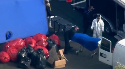 Hallan casi 2,000 partes de órganos y cuerpos humanos.