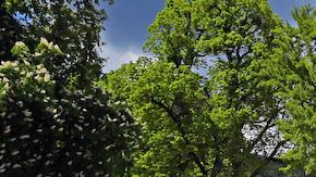 Aston Martin, Bentley, Bugatti, Ferrari, Koenigsegg, Lamborghini, Maserati, Mercedes-Maybach y Porsche: estos son los supuestos autos que el vicepresidente de un país africano guardaba en Suiza