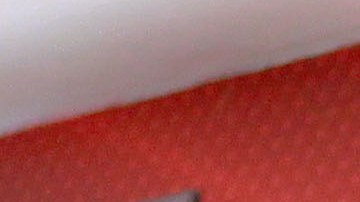 Hedgardo Marín y Miguel Basulto son bajas de Chivas para el Apertura 2019.