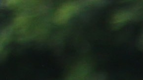 Norma Palafox anunció que hará una pausa en su carrera como futbolista para participar en Exatlón.