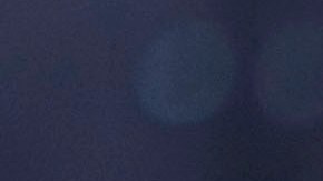 Veracruz le debe a Memo Vázquez, al cuerpo técnico y a varios futbolistas