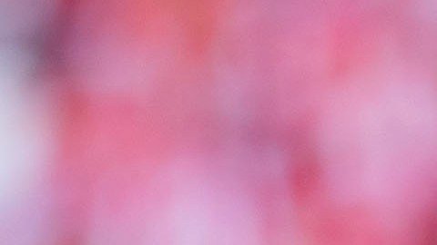 Paolo Guerrero pide respeto para Perú
