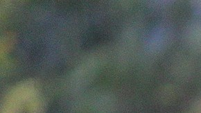 Leonel López fue cedido por un año al ‘ave’