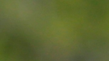 La clavadista Paola Espinosa en guerra con diputados mexicanos