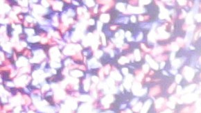 Liga Mexicana del Pacífico armará tremenda fiesta en Arizona.