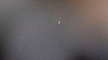 Javier 'Chicharito' Hernández