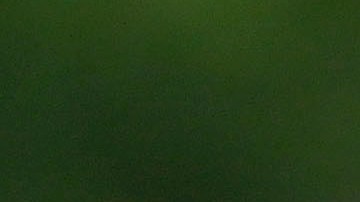 Guardado alcanza a Cristiano Ronaldo en esta marca.