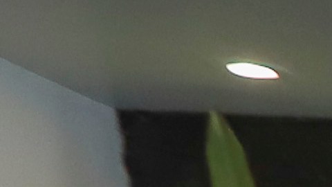 “El Perro” Aguayo fue despedido entre aplausos