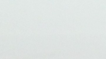 El “Pollo” indicó que el Guadalajara es el equipo más importante de México