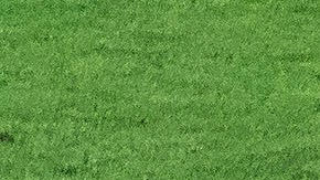 América consigue su sexto trofeo como Campeón de Campeones