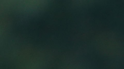 El exjugador del Real Madrid aseguró que la Máquina le llama la atención