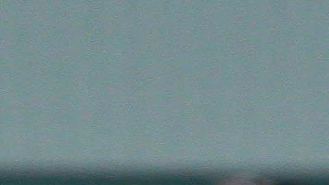 Los 5 fichajes que hay que seguir de cerca en la Liga MX.