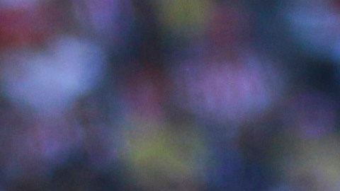 Pumas jugó con cinco mediocampistas y un delantero.
