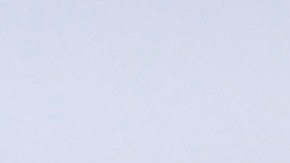 Edson Alvarez y el Ajax de holanda intercambiaron impresiones después de la presentación oficial.