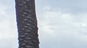 (De izq. a der.) Luis Velazquez Jr. (centro) junto a sus padres Luis y Rita Velazquez y su esposa Karley Velazquez. (Jacqueline García)