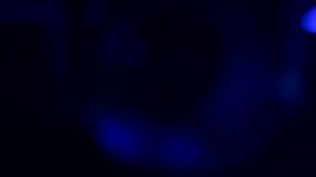 Jay-Z cumplió 50 años