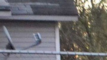 ICE tiene diversos tipos de operativos.