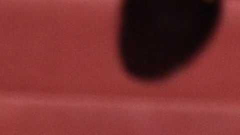 Jennifer López y Alex Rodríguez.