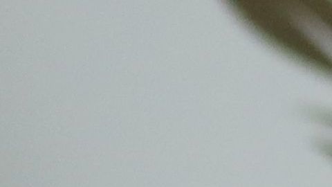 Meghan Markle, la Duquesa de Sussex